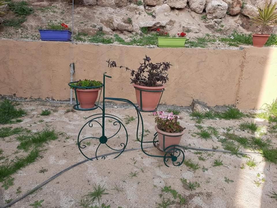 Hotel Emile Altwal Madaba Exterior foto